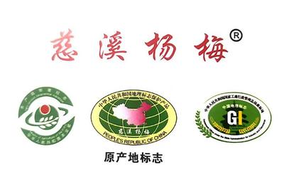 優秀!這32家單位取得&ldquo;慈溪楊梅&rdquo;地理標志證明商標授權使用資格!